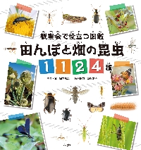 田んぼと畑の昆虫1124種|鈴木知之|偕成社|9784035286707|文苑堂