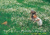 タシャ・チューダーによる絵本。１１冊セット タシャ・チューダーによる絵本。11冊セット