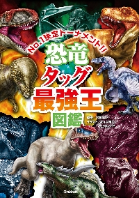 柴田善登「蔵王と沼尻」素描14枚,鉛筆,圧倒的な素描力と造詣に裏打ちされたセンス 柴田善登「蔵王と沼尻」素描14枚,鉛筆,圧倒的な素描力と