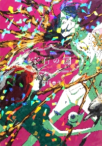 宝石の国　12巻　13巻　特装版　初版帯付き　市川春子 宝石の国 12巻 13巻 特装版 初版帯付き 市川春子 - メルカリ