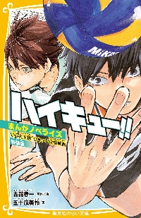 ハイキュー!! 10th クロニクル ハイキュー！！10thクロニクル|古舘春一|集英社