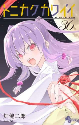 ハヤテのごとく！ 完全版 22|畑健二郎|小学館|9784098542253|文苑堂
