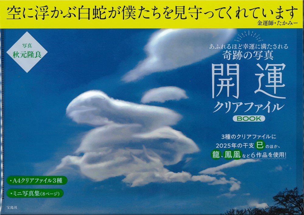 【美品】秋嶋亮 著書／白揚社 シリーズ９冊 美品】秋嶋亮 著書／白揚社 シリーズ9冊 美品】秋嶋亮 著書／白揚社