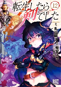 転生したら剣でした 11|丸山 朝ヲ 画|幻冬舎|9784344850071|文苑堂