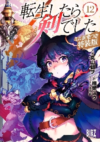 転生したら剣でした 11|丸山 朝ヲ 画|幻冬舎|9784344850071|文苑堂