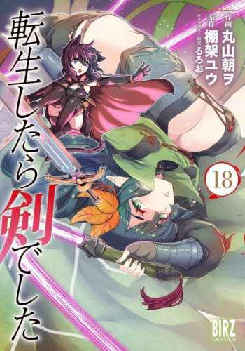 転生したら剣でした 19|棚架ユウ|マイクロマガジン社|9784867167397