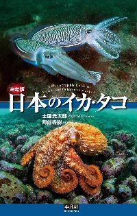 決定版 日本のイカ・タコ|土屋光太郎|平凡社|9784582542578|文苑堂