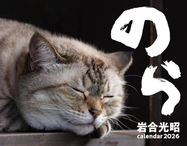 2026猫カレンダーのら|岩合光昭|辰巳出版|9784777832569|文苑堂