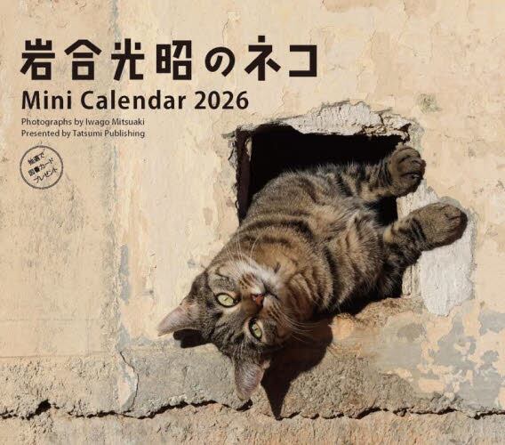 岩合光昭ボス猫卓上カレンダー2026|岩合光昭|ジーウォーク