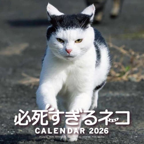 2026必死すぎるネコカレンダー|沖昌之|辰巳出版|9784777832613