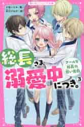 総長さま、溺愛中につき。1〜12巻　関連本3冊 Amazon.co.jp: 総長さま、溺愛中につき。 全11冊セット
