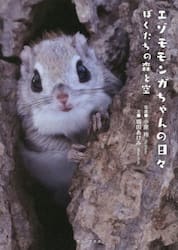 25 シマエナガちゃんCALENDAR|小原玲|インプレス