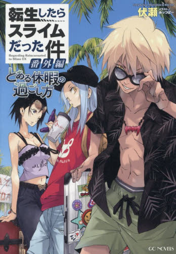 世界文学あらすじ大事典 4|横山 茂雄 監修|国書刊行会|9784336047014